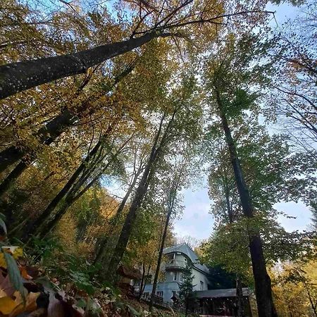 Poroshkovo База Відпочинку Шиповець מראה חיצוני תמונה