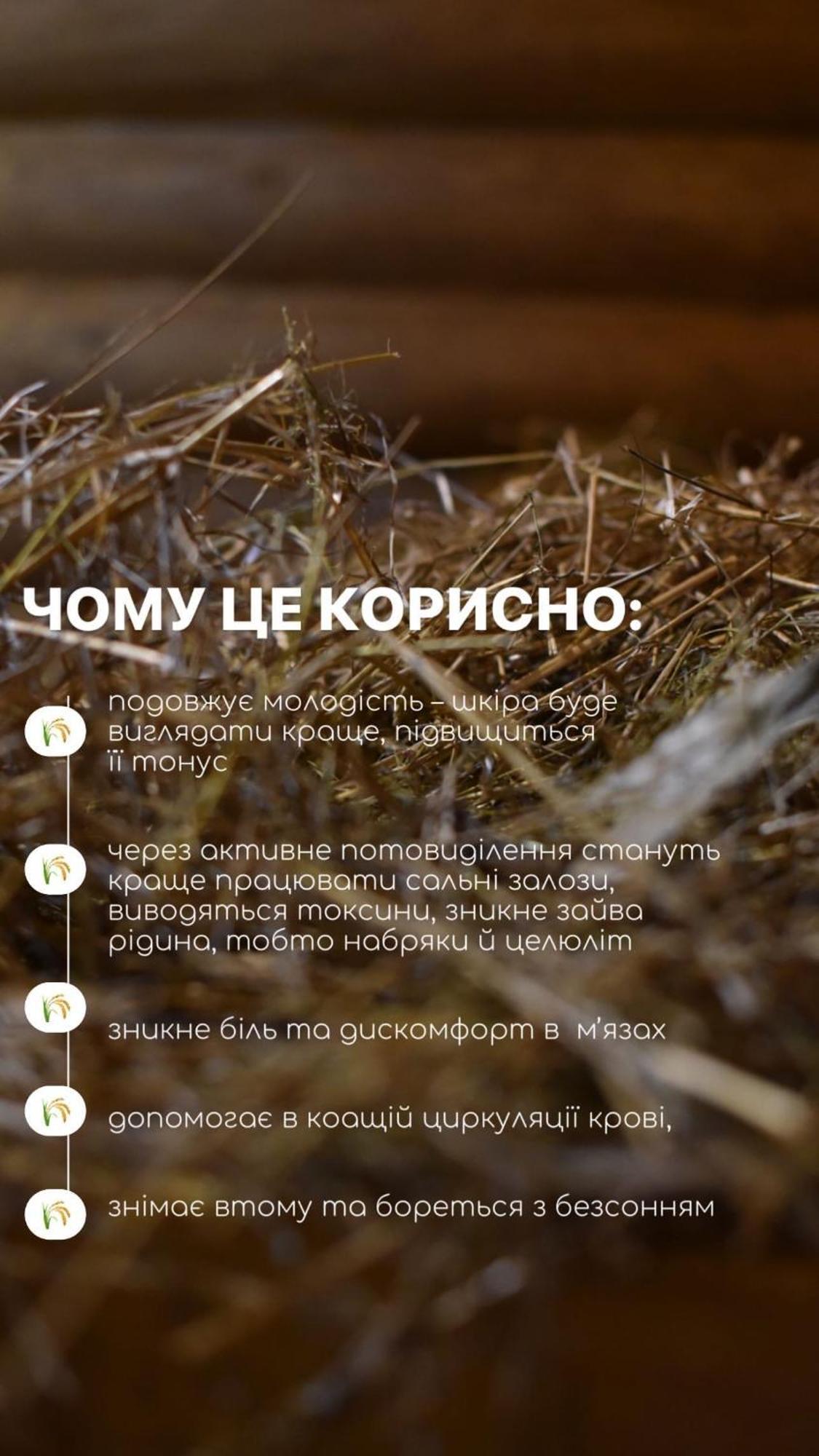 Poroshkovo База Відпочинку Шиповець מראה חיצוני תמונה